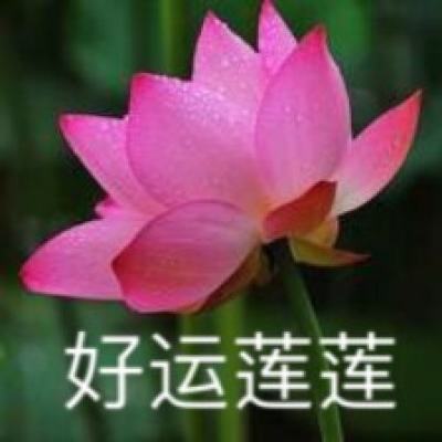 上海高考录取日程表(成绩+分数线+录取）